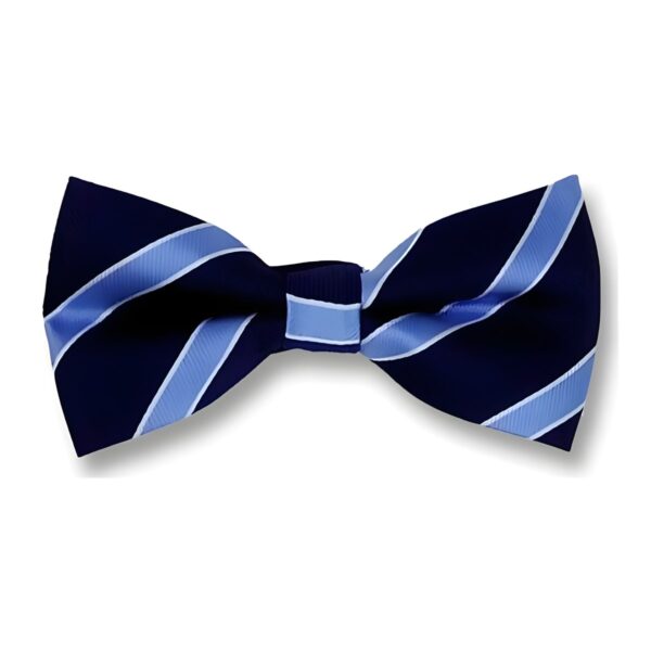 Υφασμάτινο ανδρικό παπιγιόν Original Men's Fashion με ρίγες, navy blue